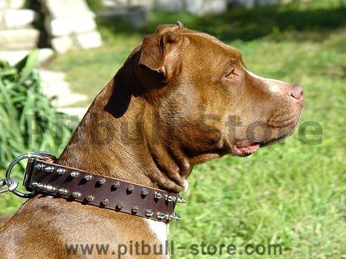 APBT Leather Spiked Dog Collar - 2 Rows of spikes