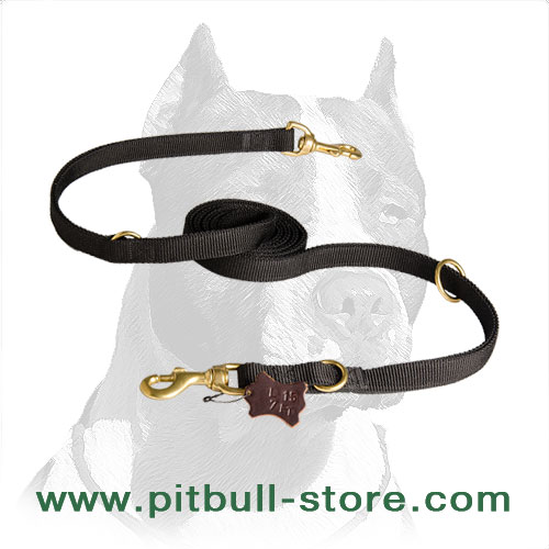 Strong Nylon Pitbull Dog Leash for Practical Owners