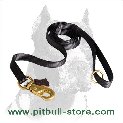Functional Pitbull Dog Leash of Nylon Material - Click Image to Close