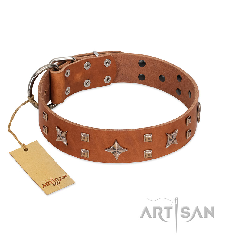 "Dreamy Gleam" FDT Artisan Tan Leather Pitbull Collar Adorned with Stars and Squares