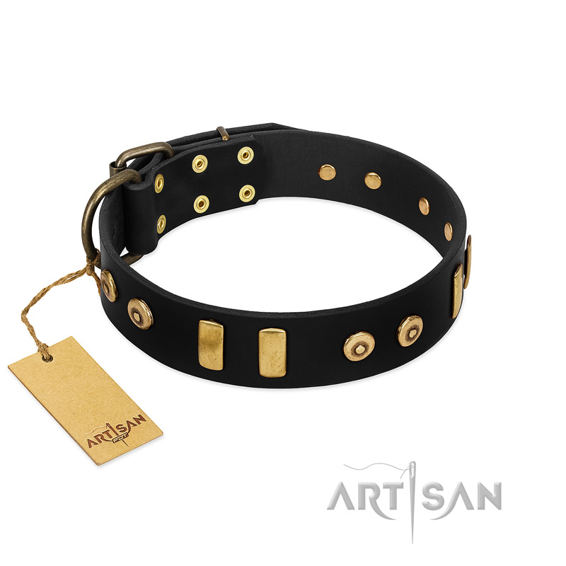 "Rare Dog" FDT Artisan Black Leather Pitbull Collar with Old Bronze-like Dotted Studs and Tiles