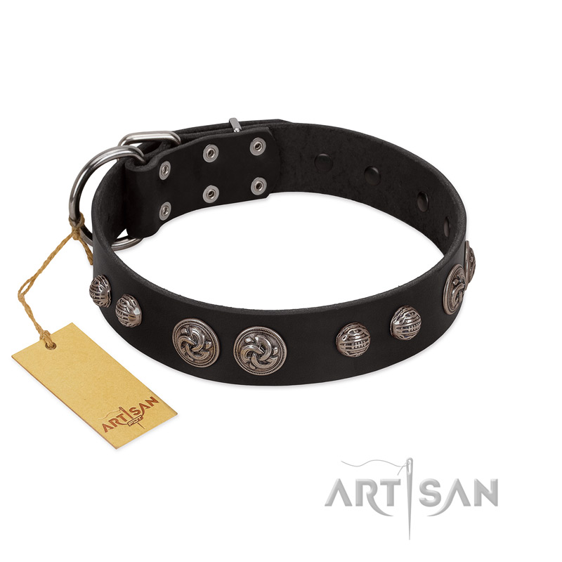 "Tricky Ricky" FDT Artisan Black Leather Pitbull Collar Adorned with Silver-Like Conchos