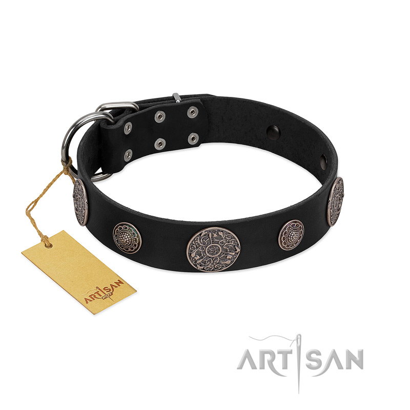 "Ad Infinitum" Durable FDT Artisan Black Leather Pitbull Collar with Chrome Plated Brooches