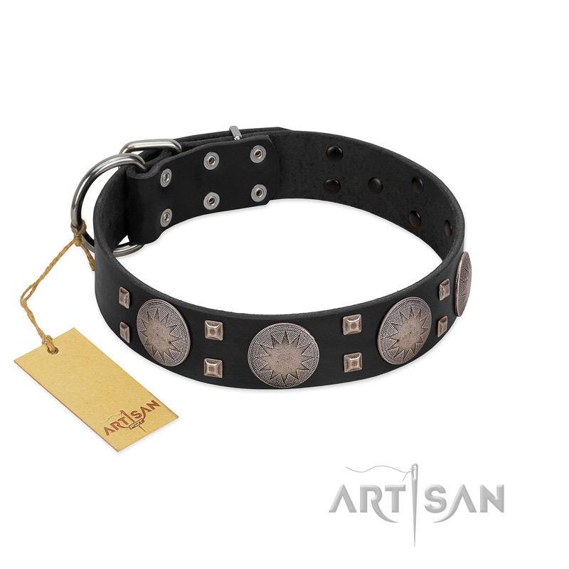 "Sun in Shining" Modern FDT Artisan Black Leather Pitbull Collar with Studs and Stars