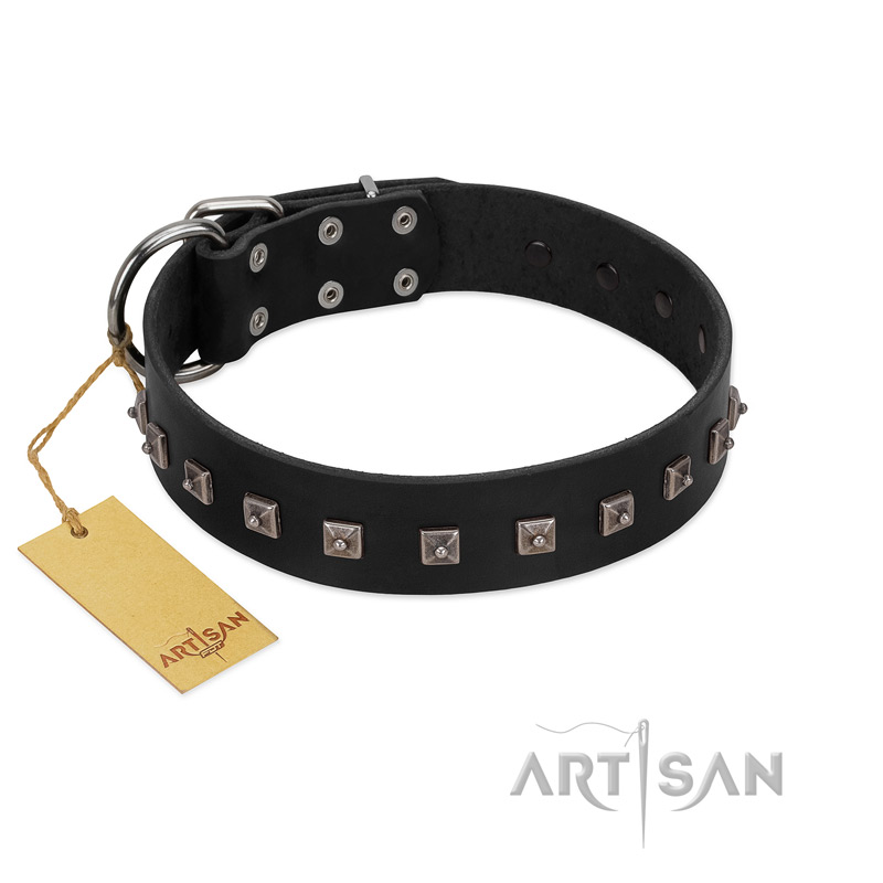 "Natural Beauty" Premium Quality FDT Artisan Black Designer Pitbull Collar with Dotted Studs - Click Image to Close