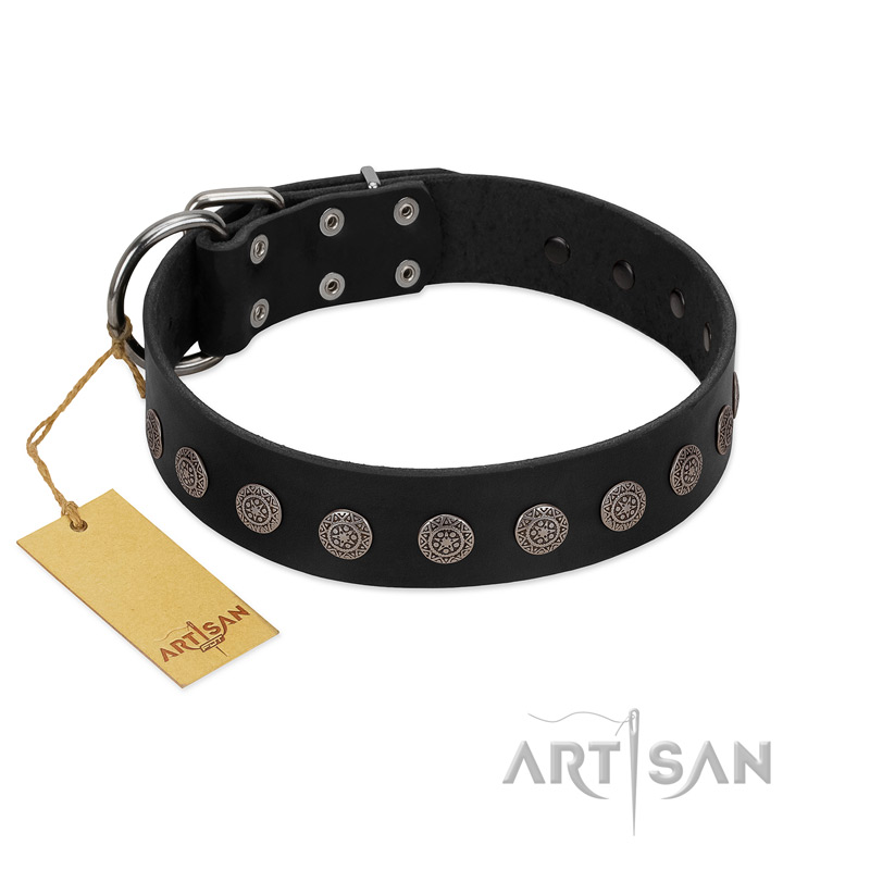 "Silent Star" Handmade FDT Artisan Designer Black Leather Pitbull Collar with Engraved Plates