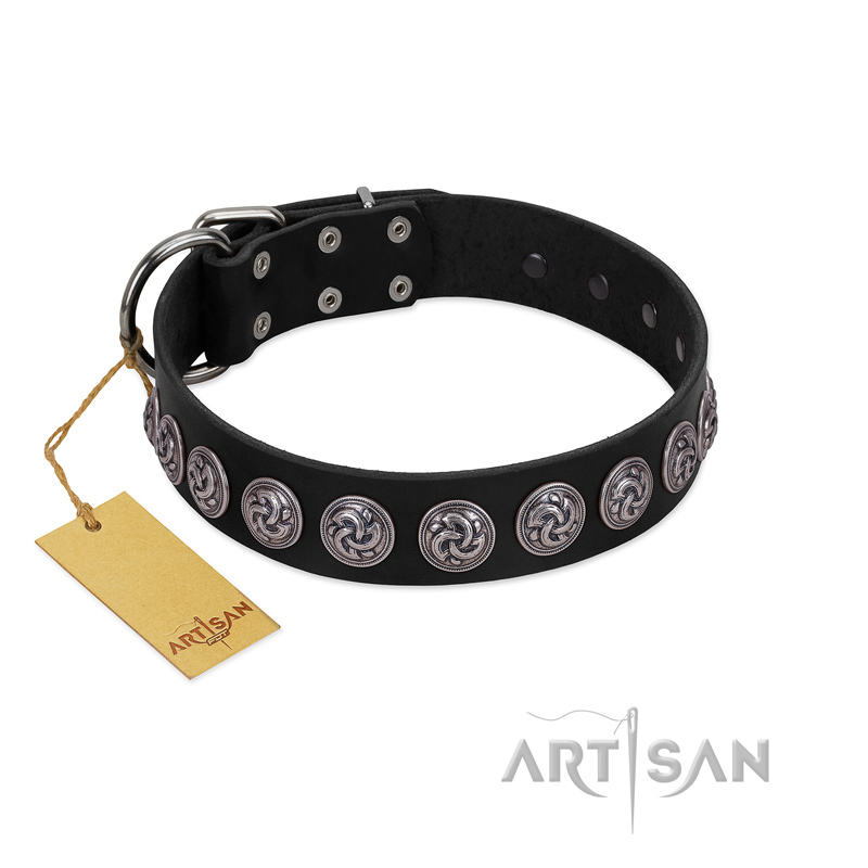 "Black Raven" Handmade FDT Artisan Black Leather Pitbull Collar with Silver-Like Adornments - Click Image to Close