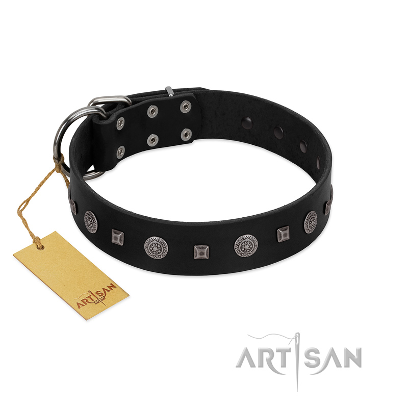 "Mr. Elegance" Designer FDT Artisan Black Leather Pitbull Collar with Silver-Like Studs - Click Image to Close