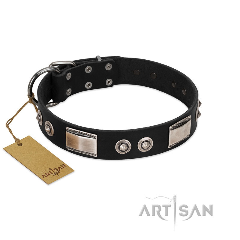 "Grand Wear" FDT Artisan Black Leather Pitbull Collar with Shining Plates and Spiked Studs