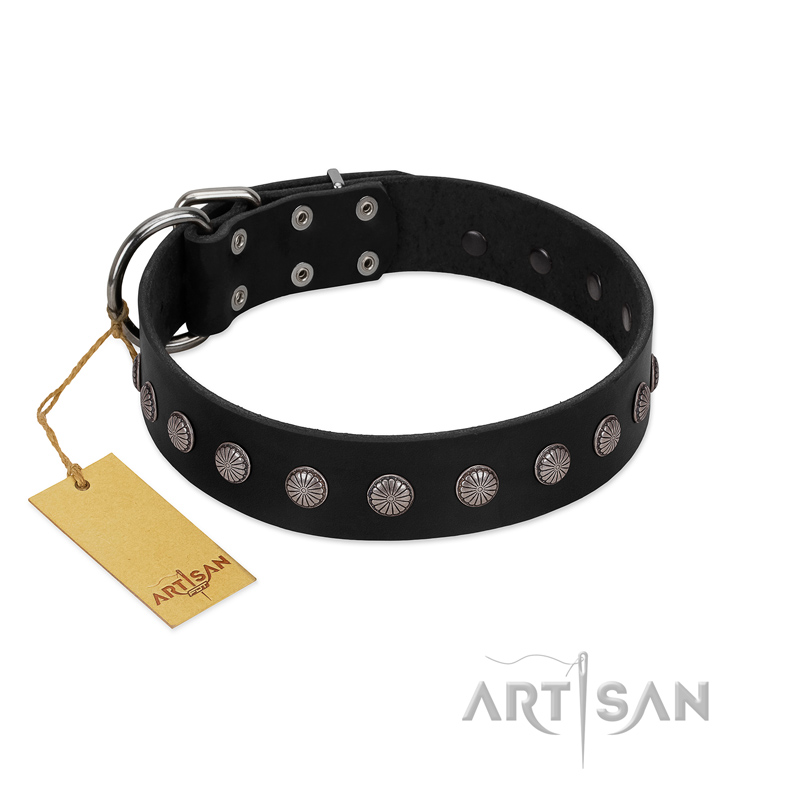 "Silver Flower" Exclusive FDT Artisan Black Leather Pitbull Collar with Silver-Like Studs