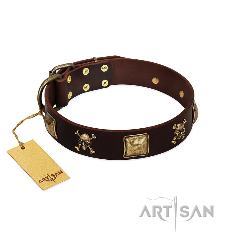 "Crazy Pirate" FDT Artisan Brown Leather Pitbull Collar with Old Bronze-Plated Skulls and Plates