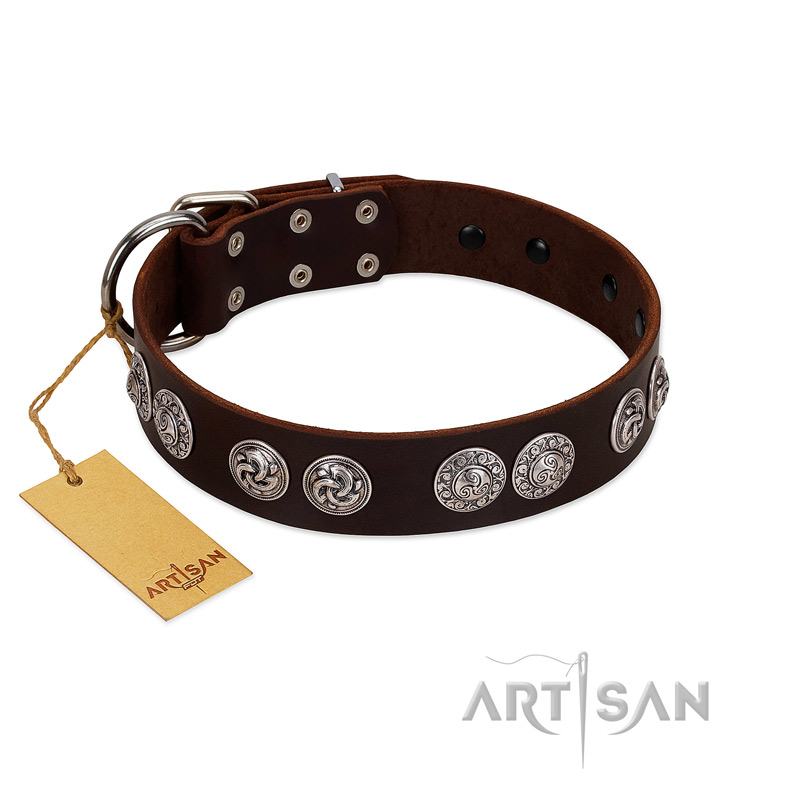 "High and Mighty" FDT Artisan Classy Brown Leather Pitbull Collar with Embellished Brooches