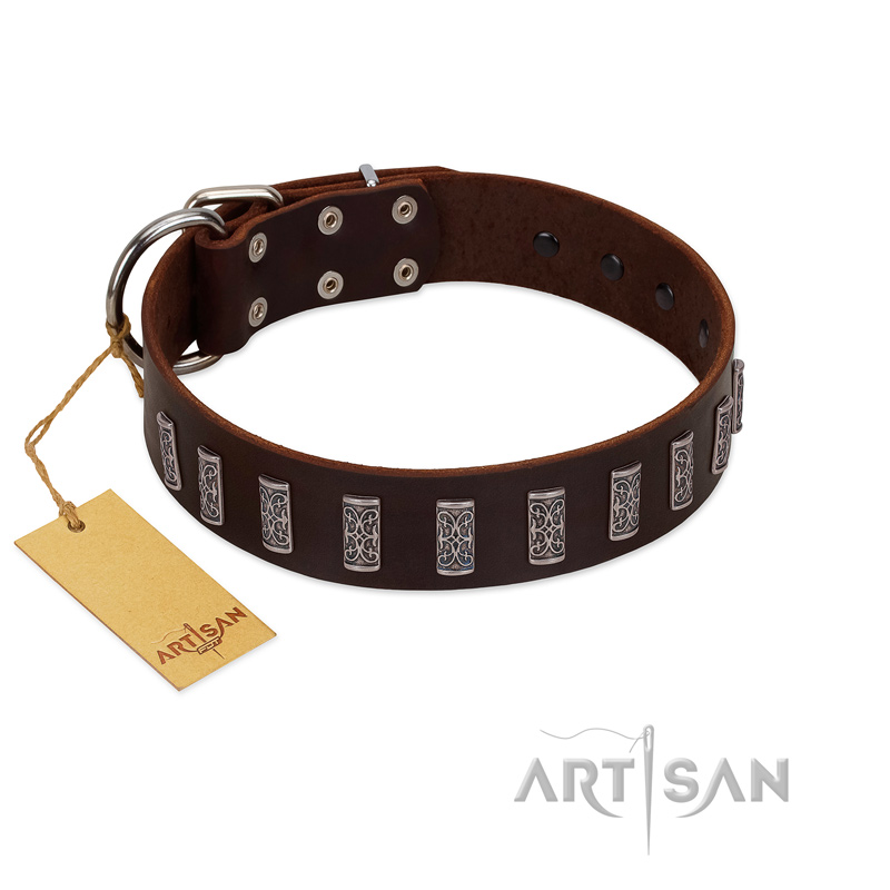 "Brown Lace" Handmade FDT Artisan Brown Leather Pitbull Collar for Everyday Walks