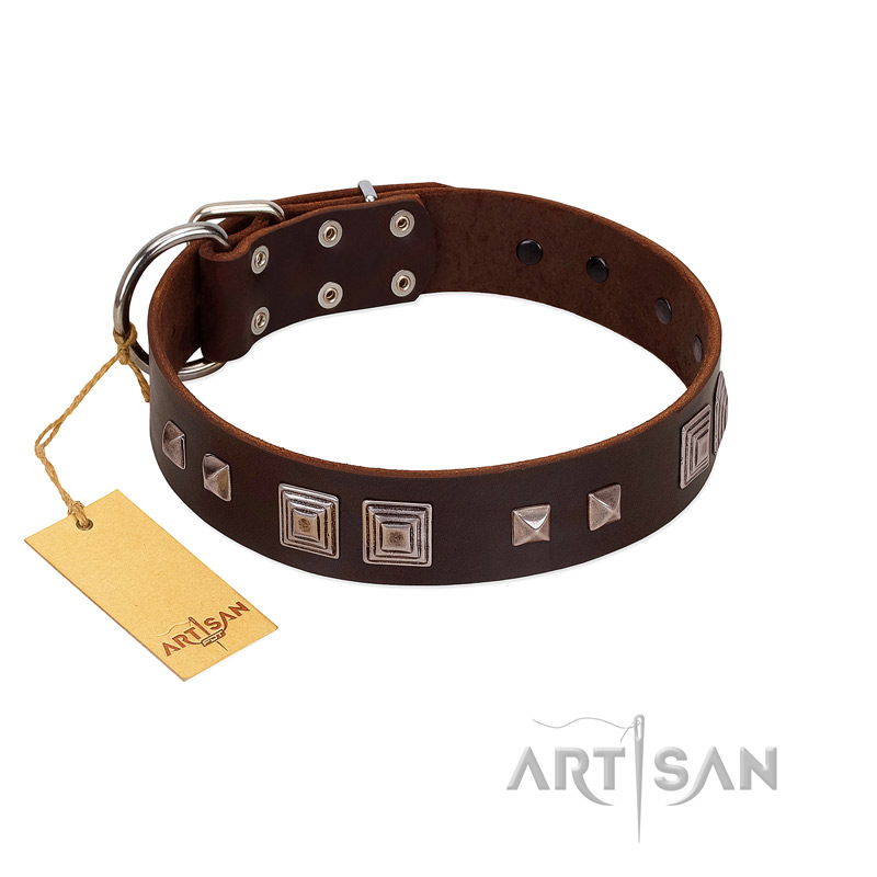"Object of Virtu" FDT Artisan Brown Leather Pitbull Collar with Old Silver-like Square Studs and Pyramids