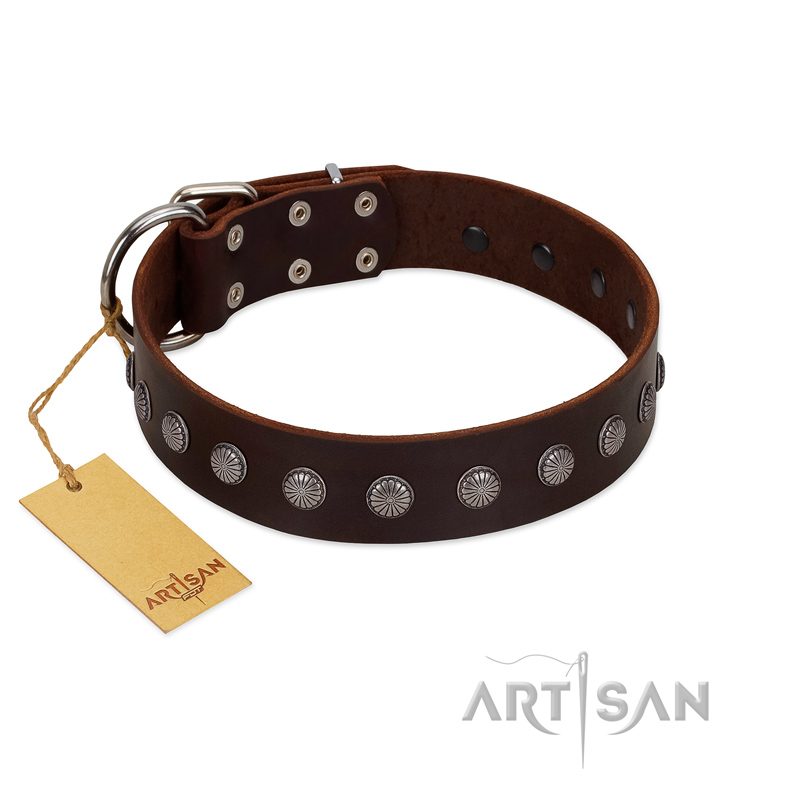 "Spring Flower" Stylish FDT Artisan Brown Leather Pitbull Collar for Comfy Walks - Click Image to Close