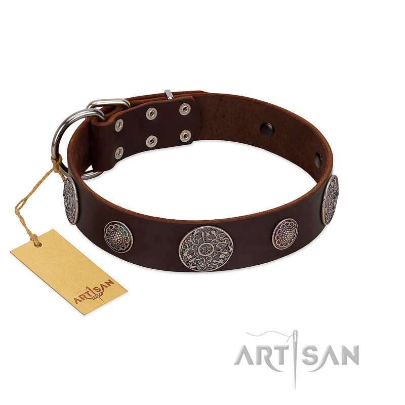 "Flashy Woof" FDT Artisan Brown Leather Pitbull Collar with Chrome Plated Brooches