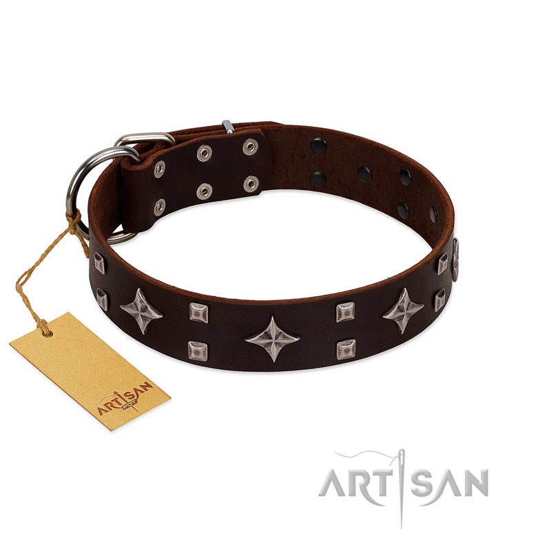 "Trendy Candy" FDT Artisan Brown Leather Pitbull Collar Adorned with Stars and Tiny Squares