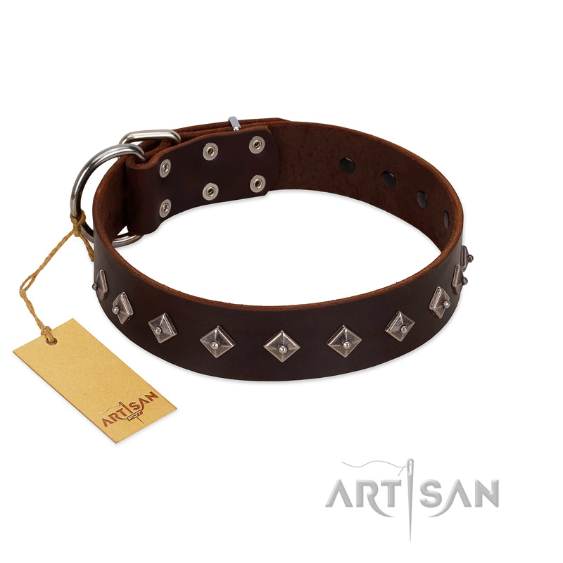 "Boundless Energy" Premium Quality FDT Artisan Brown Designer Leather Pitbull Collar with Small Pyramids - Click Image to Close