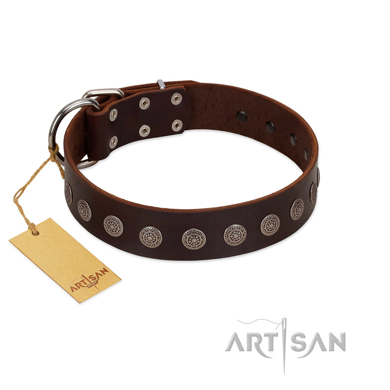 "Starry-Eyed" Best Quality FDT Artisan Brown Designer Leather Pitbull Collar with Small Plates