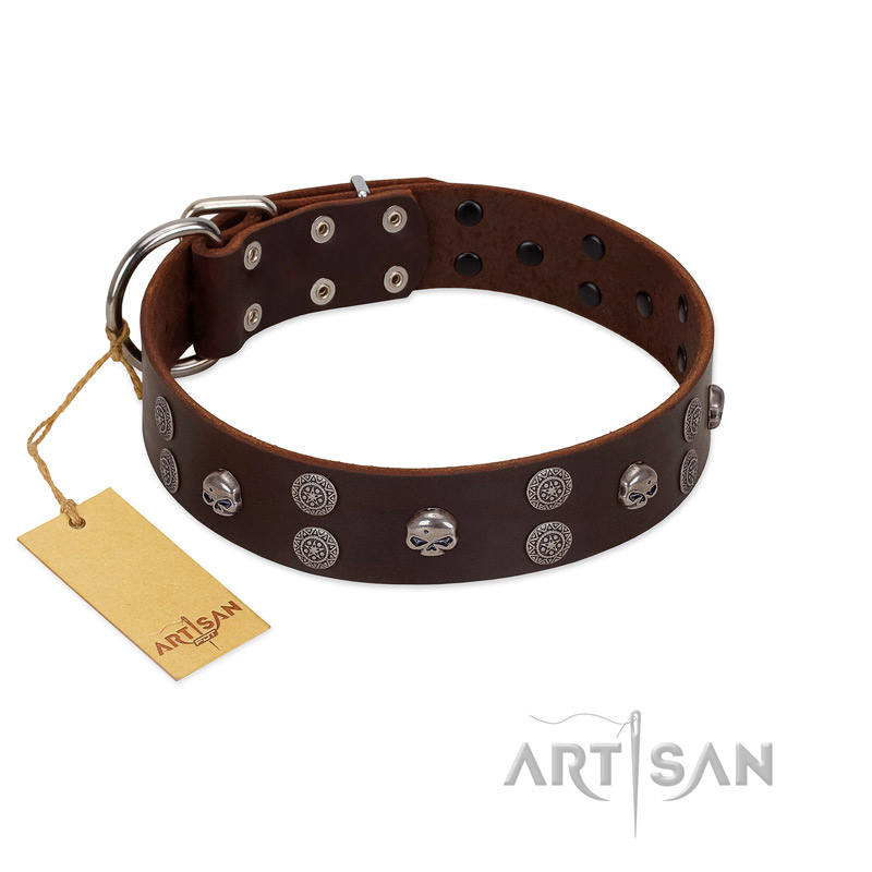 "Skull Valley" Handcrafted FDT Artisan Brown Leather Pitbull Collar with Skulls