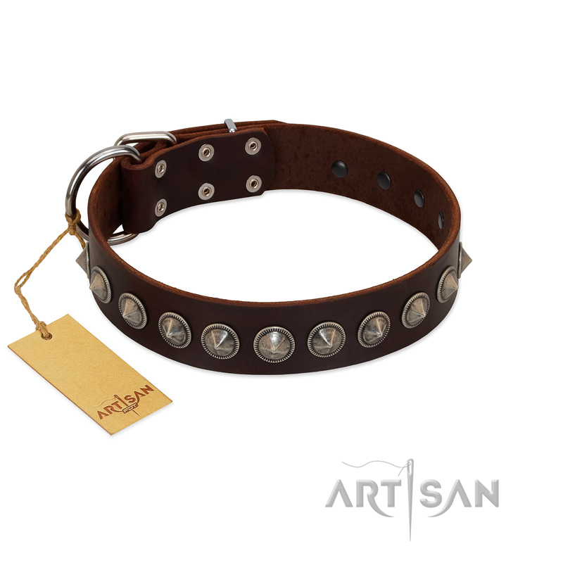 "Gothic Style" FDT Artisan Fancy Brown Leather Pitbull Collar with Silver-Like Decorations