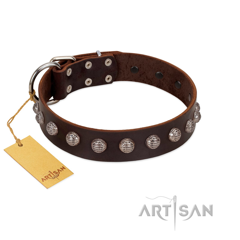 "Lucky Silver" Designer Handmade FDT Artisan Brown Leather Pitbull Collar