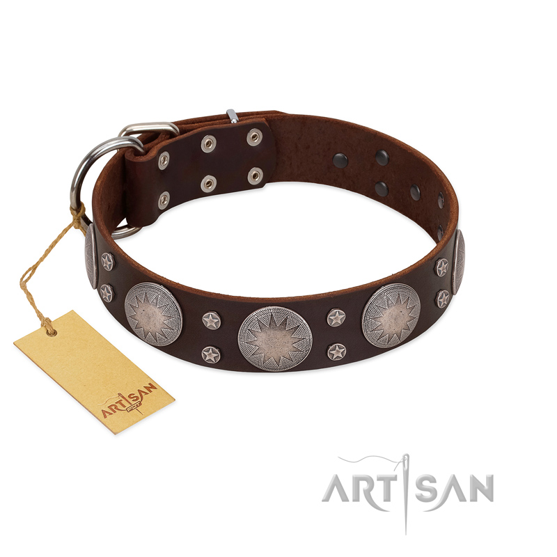 "Imperial Legate" FDT Artisan Brown Leather Pitbull Collar with Big Round Plates