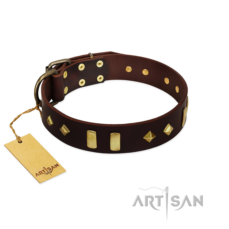 "Blinking Illusion" FDT Artisan Brown Leather Pitbull Collar with Old Bronze-like Studs and Plates