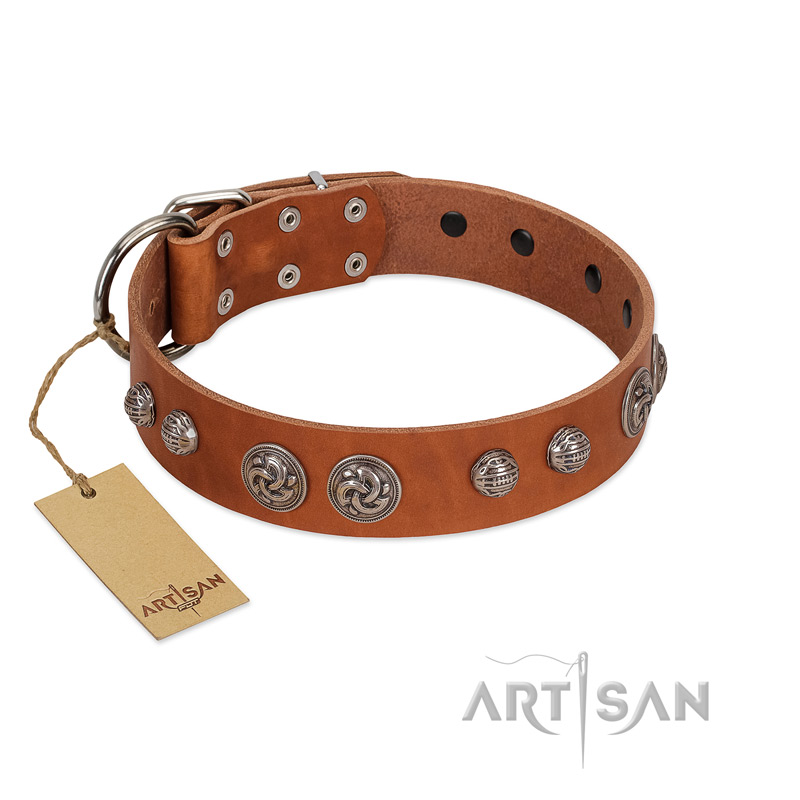 "Era Infinitum" FDT Artisan Tan Leather Pitbull Collar Adorned with Chrome-plated Circles - Click Image to Close