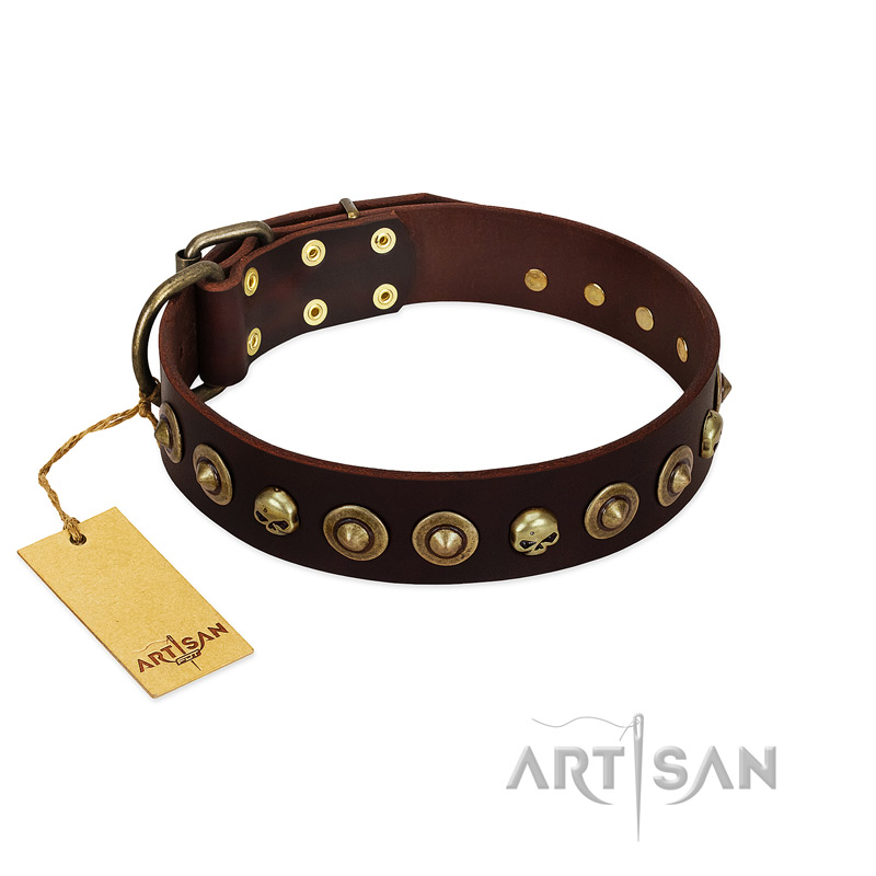 "Street Fashion" FDT Artisan Brown Leather Pitbull Collar Adorned with Circles and Skulls