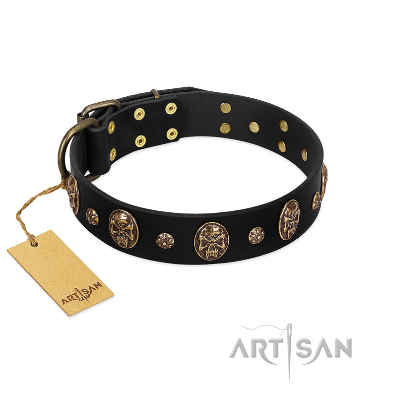 Pirate's Spell' FDT Artisan Black Leather Pitbull Collar with Engraved Studs and Medallions