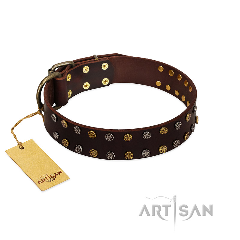 "To the Moon and Back" FDT Artisan Brown Leather Pitbull Collar with Bronze-like Star Studs - Click Image to Close