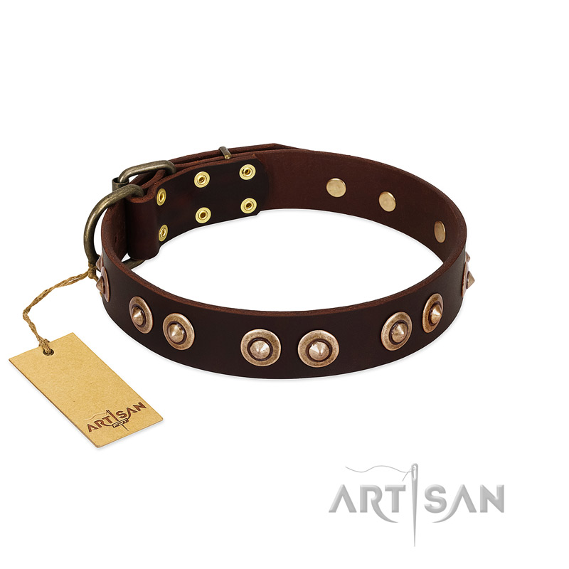 "Woofy Art" FDT Artisan Brown Leather Pitbull Collar Adorned with Old Bronze-like Studs - Click Image to Close