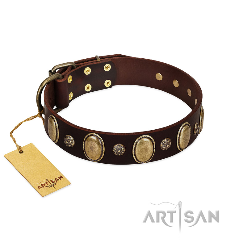 "Bronze Idol" FDT Artisan Brown Leather Pitbull Collar with Eye-catching Ovals and Small Studs - Click Image to Close