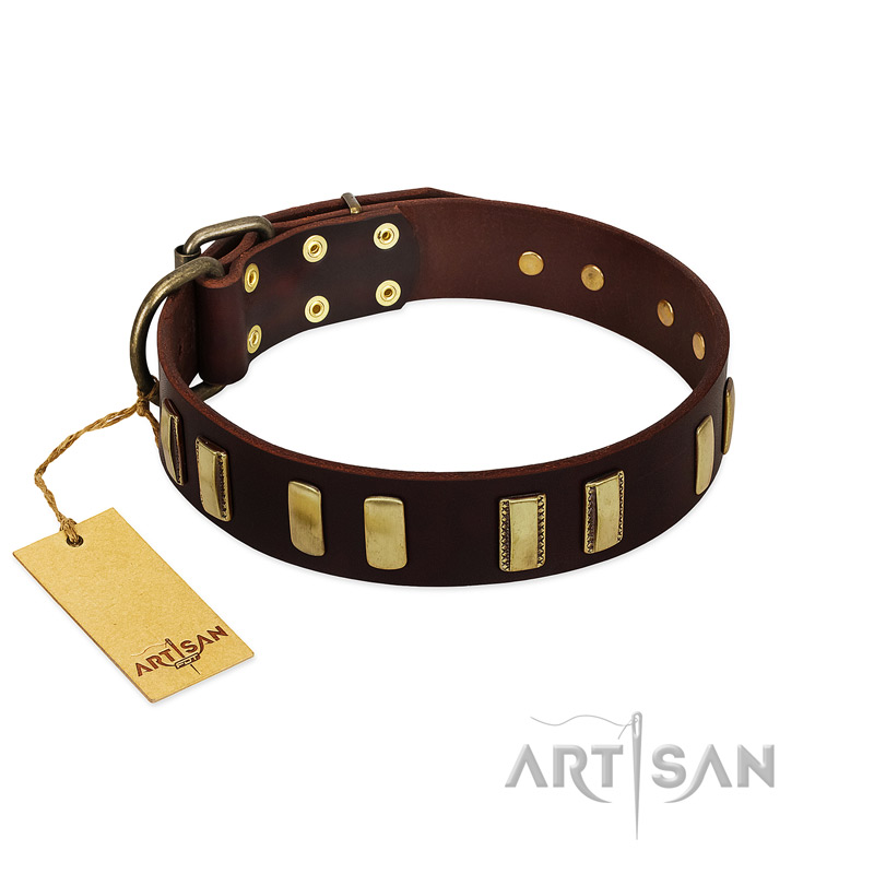 "Peace and Harmony" FDT Artisan Brown Leather Pitbull Collar with Plates