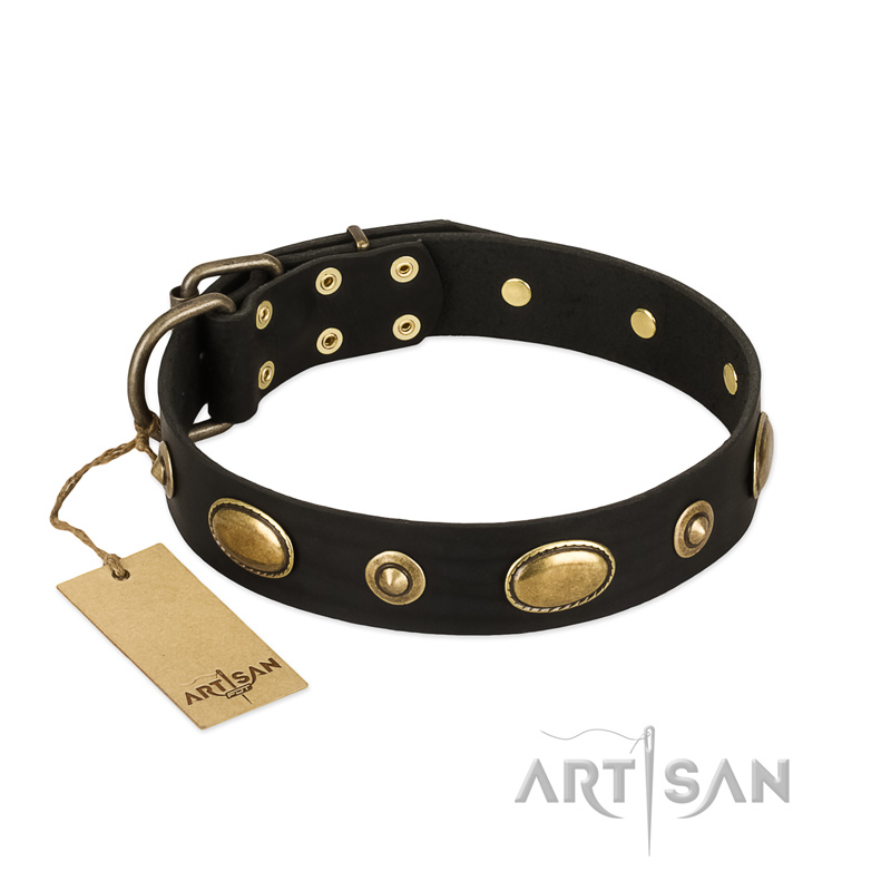 "Eye-Catcher" FDT Artisan Black Leather Pitbull Collar for Walking in Style