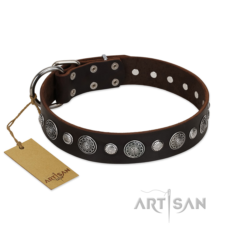"Victory Ode" FDT Artisan Brown Leather Pitbull Collar with Silver-like Plated Decorations