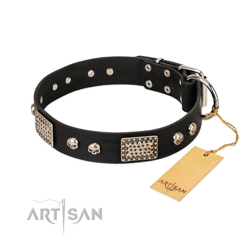 "Pirates Gold" FDT Artisan Black Leather Pitbull Collar with Old Silver Look Plates and Skulls
