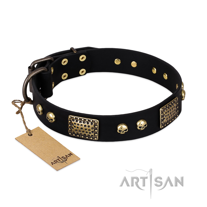 "Biker Style" FDT Artisan Black Leather Pitbull Collar with Old Bronze Look Plates and Skulls