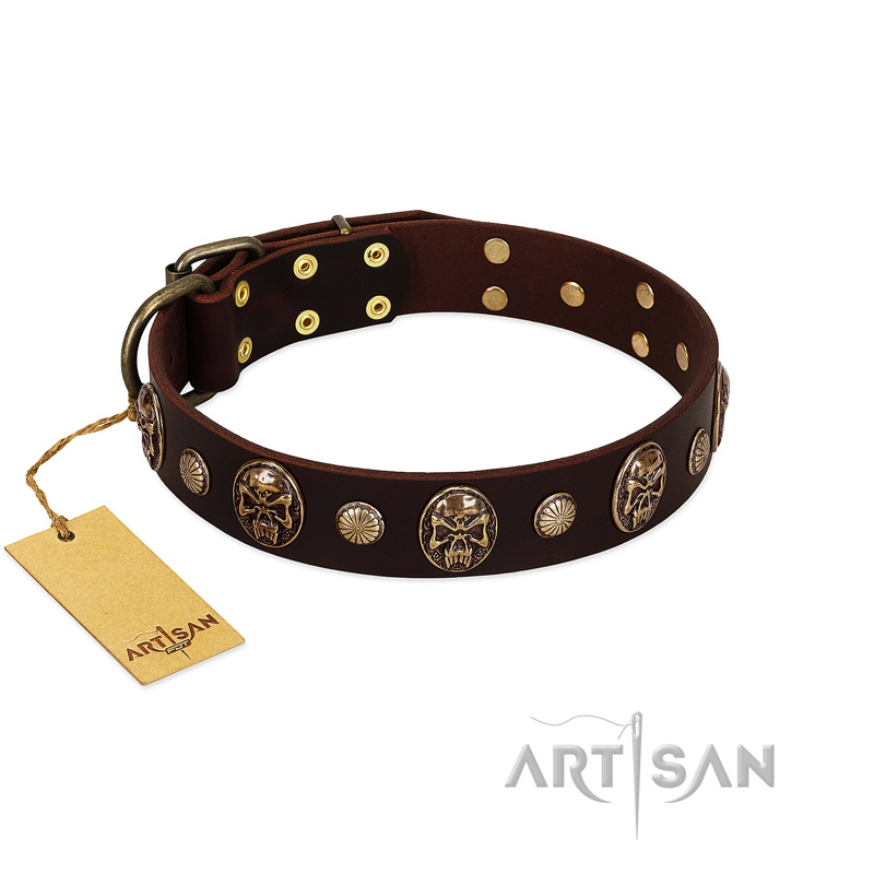 "Snazzy Paws" FDT Artisan Brown Leather Pitbull Collar Adorned with Conchos and Medallions