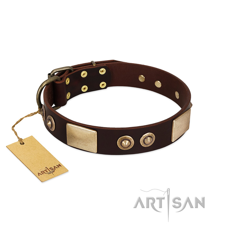 "Sense of Freedom" FDT Artisan Brown Leather Pitbull Collar with Old Bronze-Plated Studs and Plates