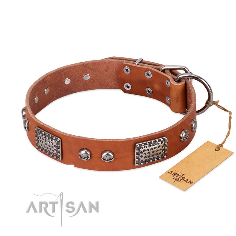 "Sparkling Skull" FDT Artisan Tan Leather Pitbull Collar with Old Silver Look Plates and Skulls