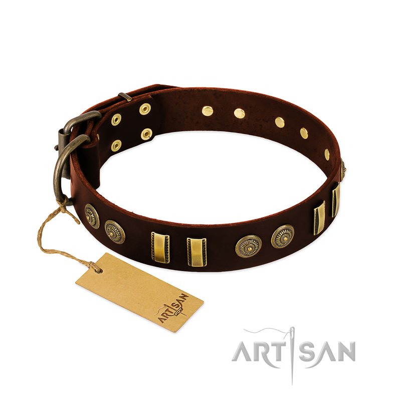 "Golden Elegance" FDT Artisan Brown Leather Pitbull Collar with Old Bronze-like Decorations