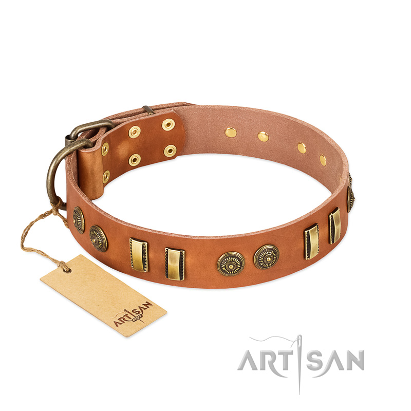 "Natural Beauty" FDT Artisan Tan Leather Pitbull Collar with Old Bronze-like Circles and Plates