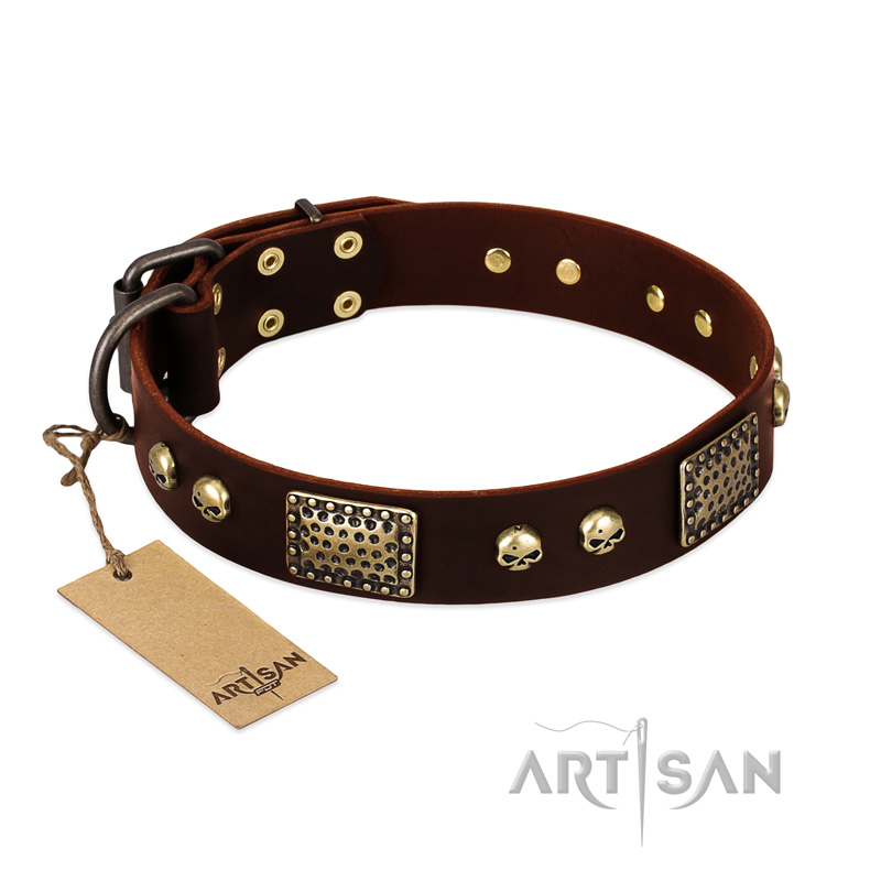"Magic Amulet" Brown Leather Pitbull Collar with Skulls and Plates