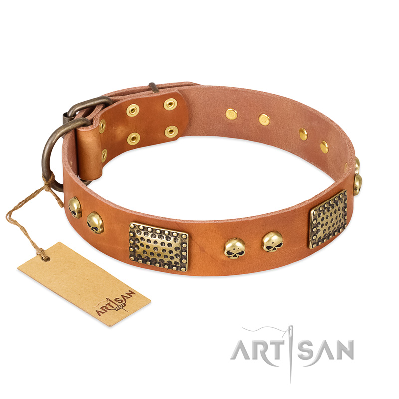 "Saucy Nature" FDT Artisan Tan Leather Pitbull Collar with Old Bronze Look Plates and Skulls - Click Image to Close