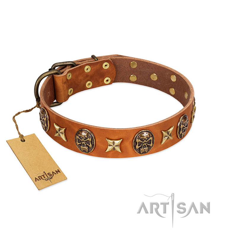 "Rockin' Doggie" FDT Artisan Tan Leather Pitbull Collar Adorned with Stars and Skulls