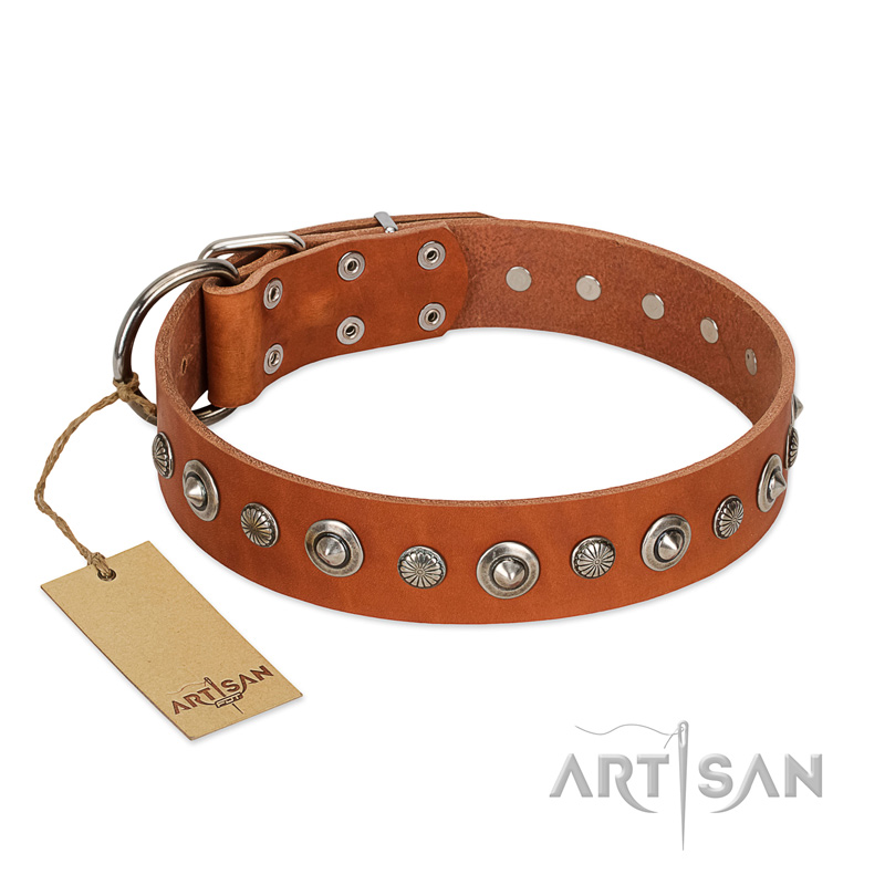 "Gorgeous Roundie" FDT Artisan Tan Leather Pitbull Collar with Chrome-plated Circles