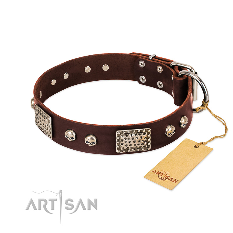 "Pirate Skull" FDT Artisan Brown Leather Pitbull Collar with Old Silver Look Plates and Skulls - Click Image to Close