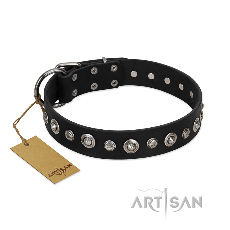 "Genteel Charm" FDT Artisan Black Leather Pitbull Collar with Silver-like Round Conchos
